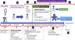 Resumen del papel de la fluidoterapia en las diferentes fases de la resucitación en la sepsis.