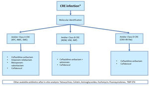 Flow-chart of CRE infection management accordingly to molecular identification. *Except uncomplicated urinary tract infections, CRE, Carbapenem resistant Enterobacteriaceae.