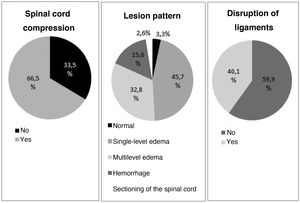 Frequency of the different alterations identified by the MRI scan.