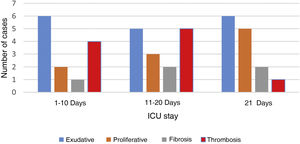 Different patterns shown depending on the ICU stay. In each case more than 1 anatomopathological pattern may have coexisted.