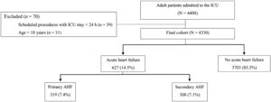 Study flow chart. The flow chart shows the exclusion criteria. Acute heart failure (AHF) included patients with de novo heart failure and those with an acute decompensation of chronic heart failure. ICU: intensive care unit.