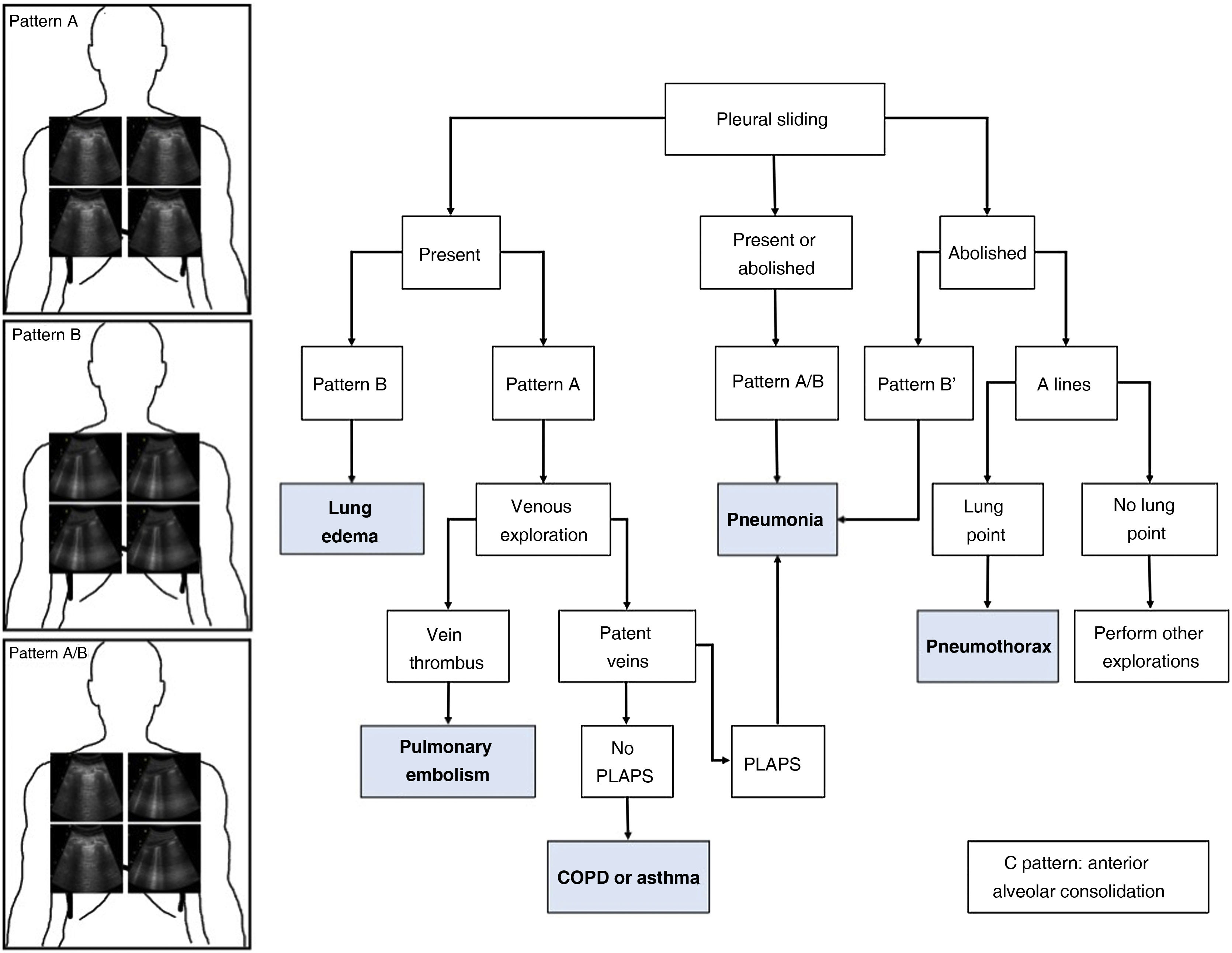 Acute Pattern Role of ultrasound in acute respiratory failure and in the weaning of ...
