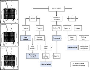 Blue Protocol. The most frequent patterns are shown: Pattern A with A lines at the four studied points; pattern B with B lines at the four quadrants; and pattern A/B with variable distribution of the A and B lines. The different diagnoses in patients with acute respiratory failure (ARF) can be established based on the ultrasound patterns and lung sliding. PLAPS: posterolateral alveolar and pleural syndrome.