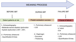 Timing and ultrasound findings in the weaning process. SBT: spontaneous breathing trial; LVEF: left ventricular ejection fraction; LUS: lung ultrasound score.
