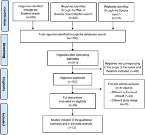 Flowchart of the selection of the studies included in the systematic review according to the PRISMA guidelines.7