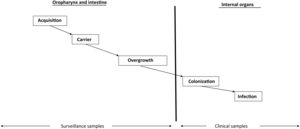 Pathogenesis of endogenous infections in the critical patient.