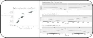 Significance of variables in the "neural network"-type MLA and non-linear evolution of the variables. We chose to select the "Neural Network" algorithm to explore the behavior of the variables. We can observe that the variable