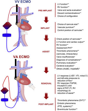 Role of ultrasound in the critical patient with ECMO.
