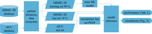 Overview of the workflow in this study. ML: machine learning.
