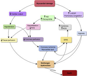 Pathophysiology of cardiogenic shock. LVEDP: Left ventricular end-diastolic pressure; NO: Nitric oxide; NOS: Nitric oxide synthase; SVR: Systemic vascular resistance; SIRS: Systemic inflammatory response syndrome; Dysf.: Dysfunction.