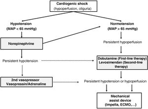 Diagram of the initial management with vasoactive drugs to treat CS.