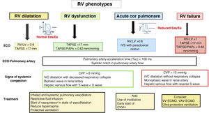 RV phenotypes. RV: right ventricle; LV: left ventricle; RV/LV: right and left ventricle end-diastolic area ratio; TAPSE: tricuspid annular plane systolic excursion; PA: pulmonary artery; IVS: interventricular septum; Tac: pulmonary artery acceleration time; PAPs: pulmonary artery systolic pressure; CVP: central venous pressure; IVC: inferior vena cava; CVVH: continuous venous-venous hemodiafiltration.