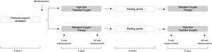 Flow chart of the study design.
