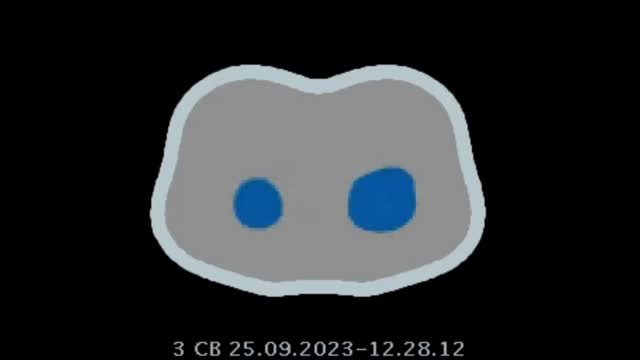 https://ars.els-cdn.com/content/image/1-s2.0-S2173572724001905-mmc2.mp4