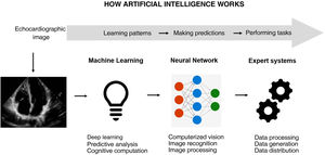 Artificial intelligence (AI) can use unprocessed echocardiographic images/videos to automatically provide structural or functional parameters, but it can also identify pathological conditions. Image processing arises from deep analyses based on the pixel, performed repeatedly. This also implies analysis and improvement of image quality in order to extract information.