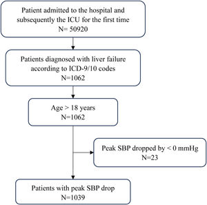 Study design and flowchart of the patient selection process. SBP, systolic blood pressure.