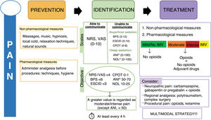 Prevention, identification and management of pain. vNRS, numeric rating scale; VAS, visual analogue scale; ESCID, Pain Indicating Behaviors Scale (Escala de Conductas Indicadores de Dolor); BPS, Behavioral Pain Scale; CPOT, Critical-Care Pain Observation Tool; ANI, Analgesia Nociception Index; NOL, nociception level index; IMV, invasive mechanical ventilation; Cx, surgeries. Reproduced from7 (with permission).