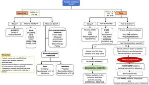 Analgosedation algorithm in the critically ill patient. NRS, numeric rating scale; VAS, visual analogue scale; ESCID, Pain Indicating Behaviors Scale (Escala de Conductas Indicadores de Dolor); BPS, Behavioral Pain Scale; COPT, Critical-Care Pain Observation Tool; ANI, Analgesia Nociception Index; NOL, nociception level index; RASS, Richmond Agitation Sedation Scale; SAS, Riker Sedation-Agitation Scale; BIS, bispectral index; ARDS, acute respiratory distress syndrome; ICH, intracranial hypertension; NMB, neuromuscular block; BZD, benzodiazepines; CAM-ICU, Confusion Assessment Method for the ICU; ICDSC, Intensive Care Delirium Screening Checklist. Reproduced from7 (with permission).