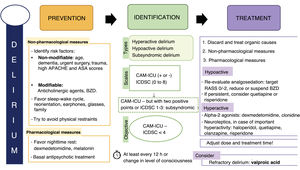 Prevention, identification and management of delirium. BZD, benzodiazepines; CAM-ICU, Confusion Assessment Method for the ICU; ICDSC, Intensive Care Delirium Screening Checklist. Reproduced from7 (with permission).