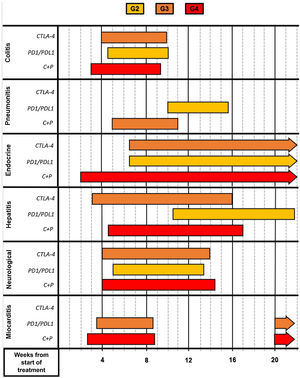 Chronology of appearance of the different irAE. The severity is represented by shades of warmer colours. Note that different regimens have different severities and chronologies for the same type of irAE. C + P: combination of anti-CTLA4 and anti-PD1/PD-L1 agents.