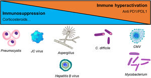 Spectrum of infectious complications associated with ICI treatment.