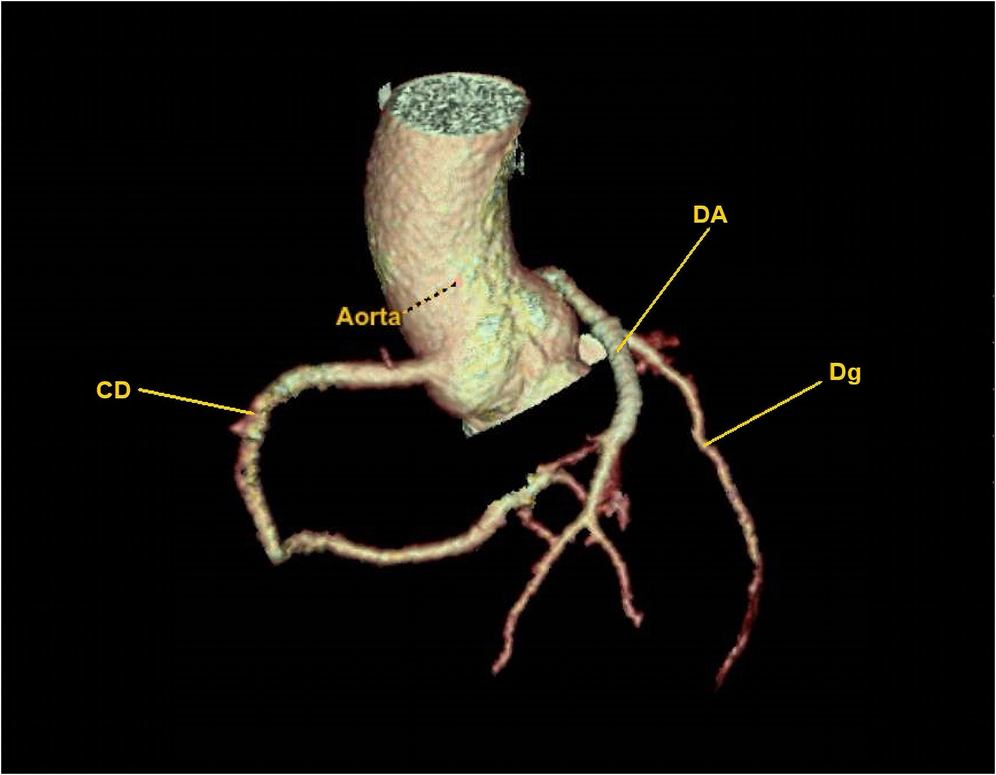 fig0010