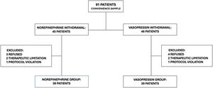 Patient flowchart.