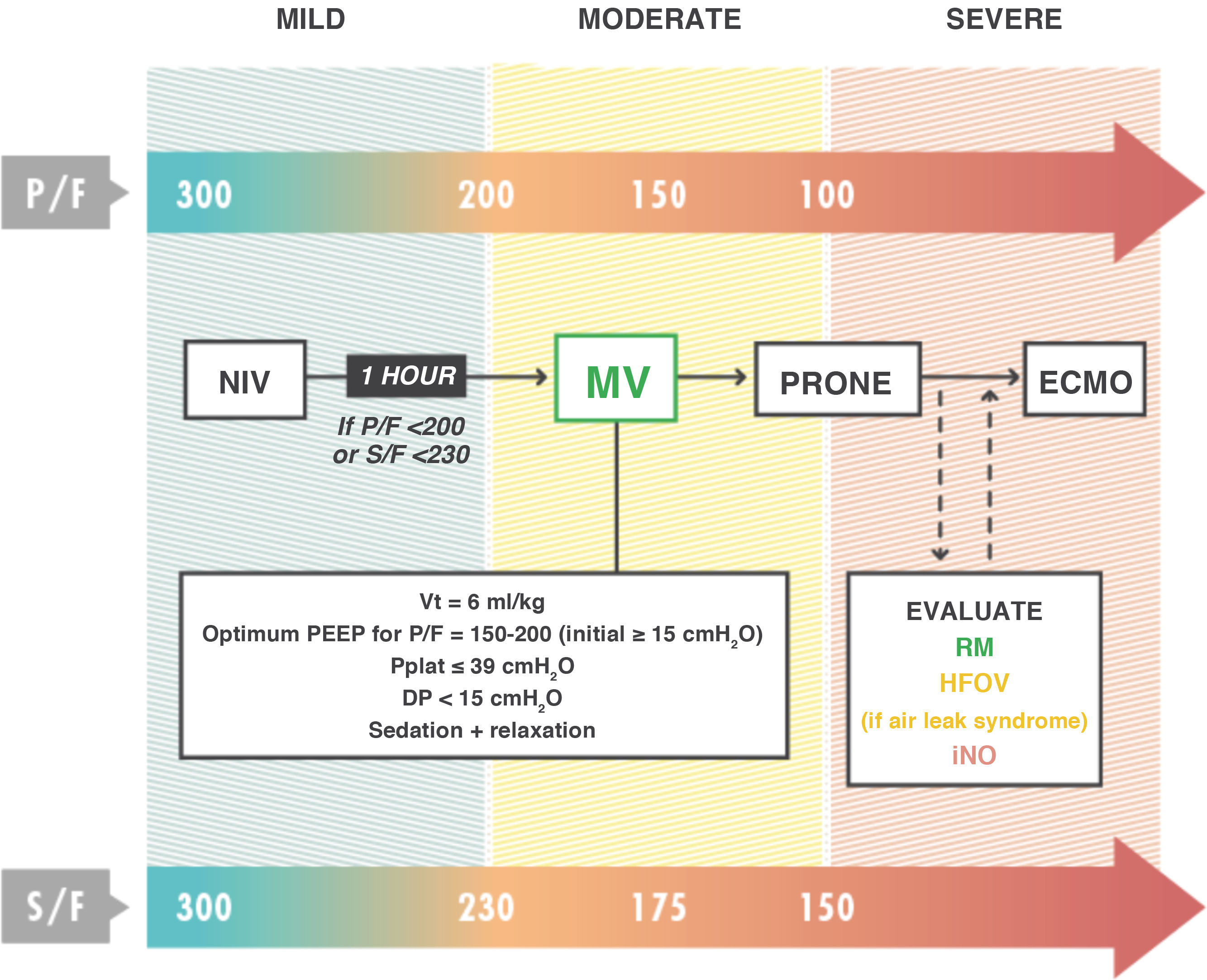 fig0005
