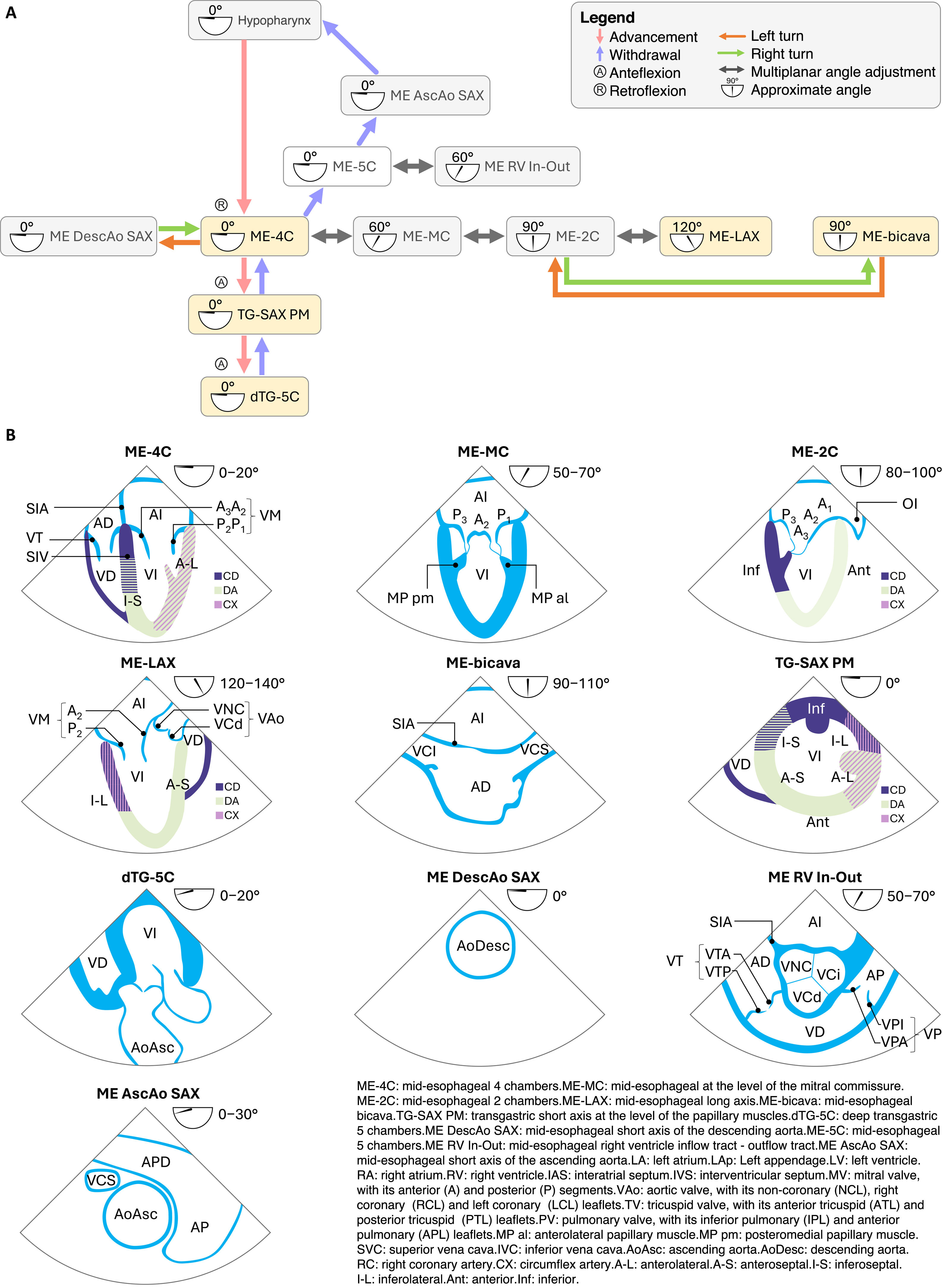 fig0010