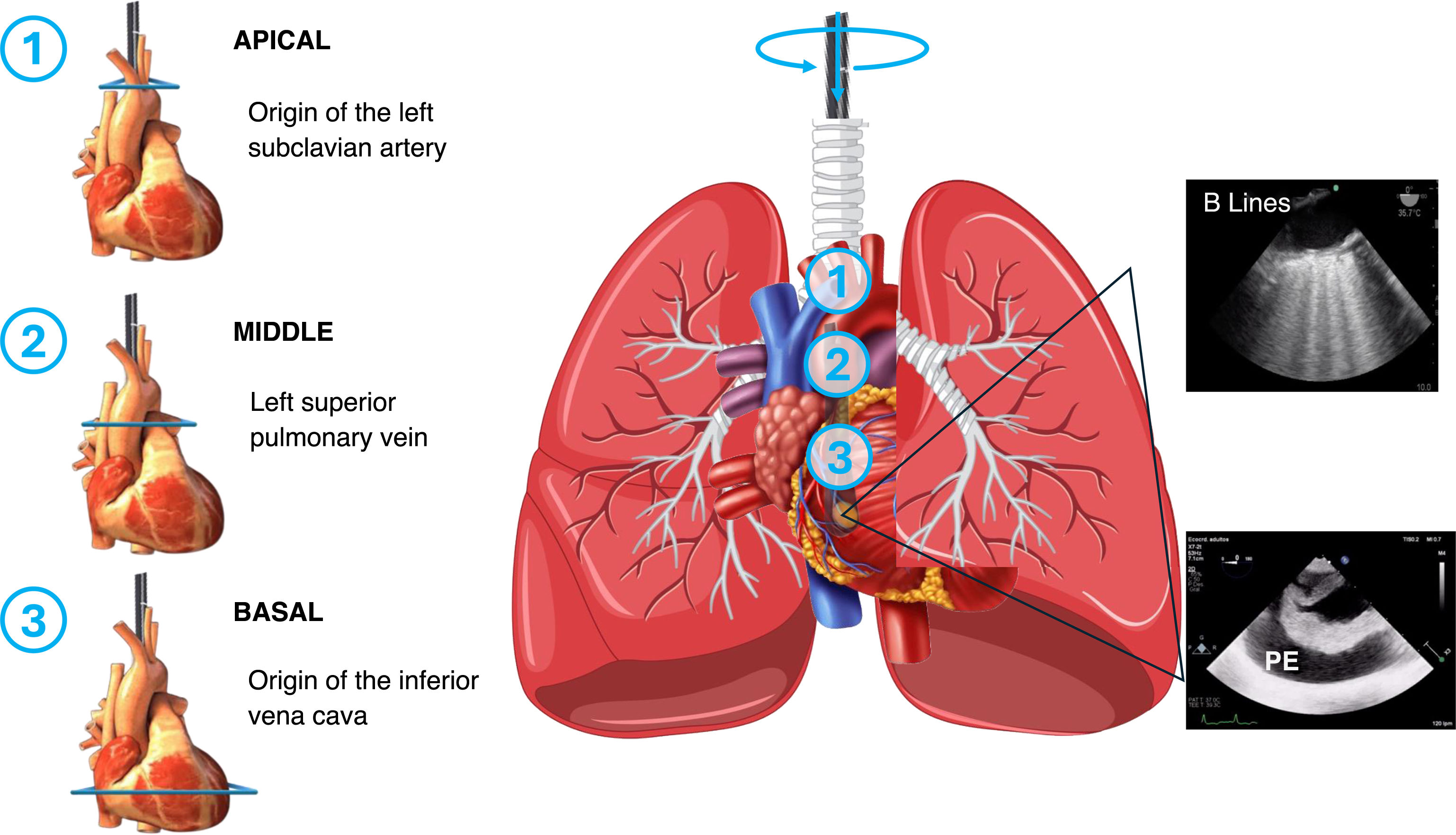 fig0025