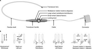 A) TEE probe components. B) TEE probe movements.