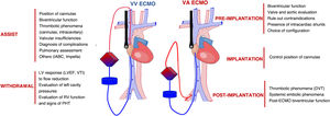 Role of TEE in the critically ill patient with ECMO. gr6.