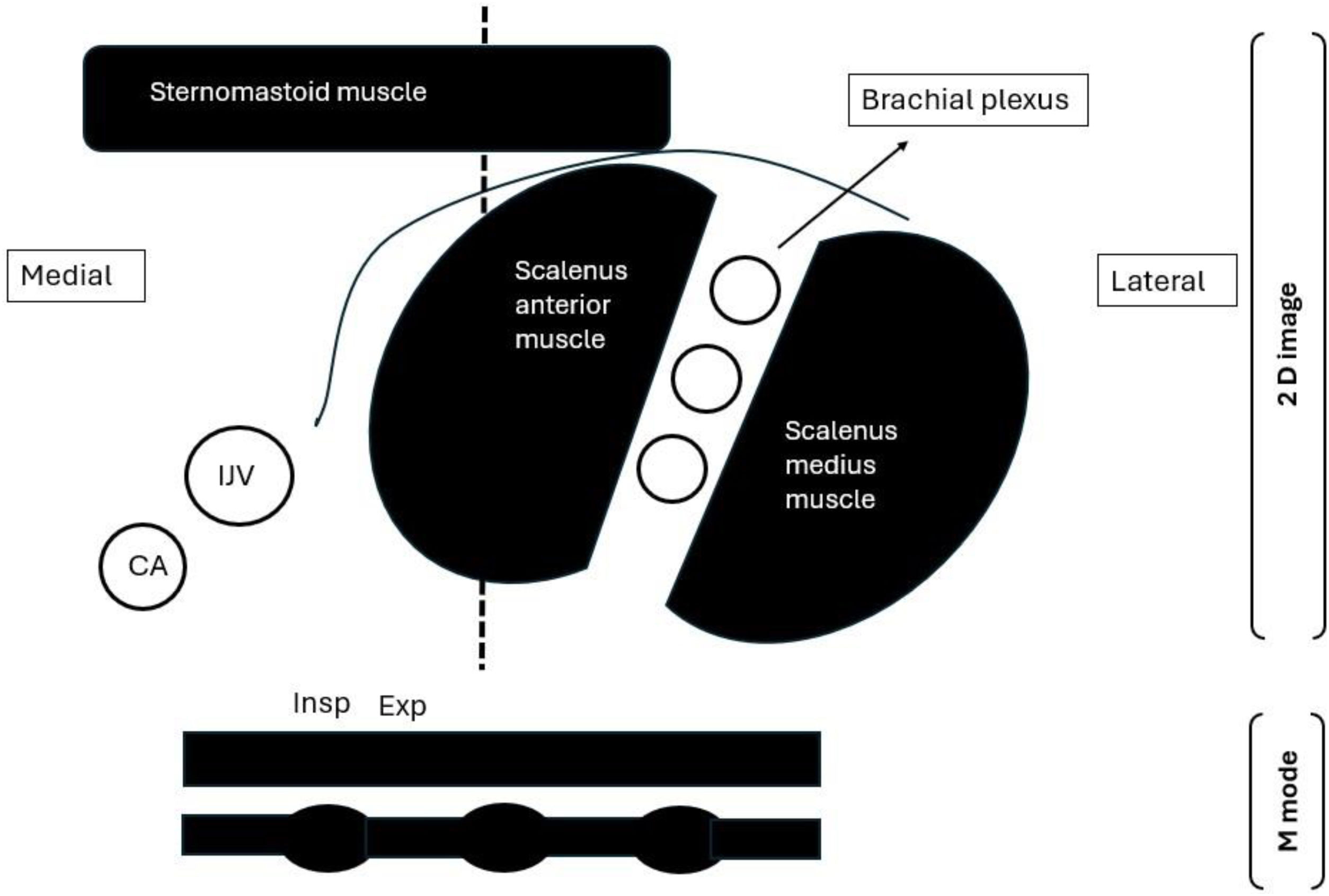 fig0010