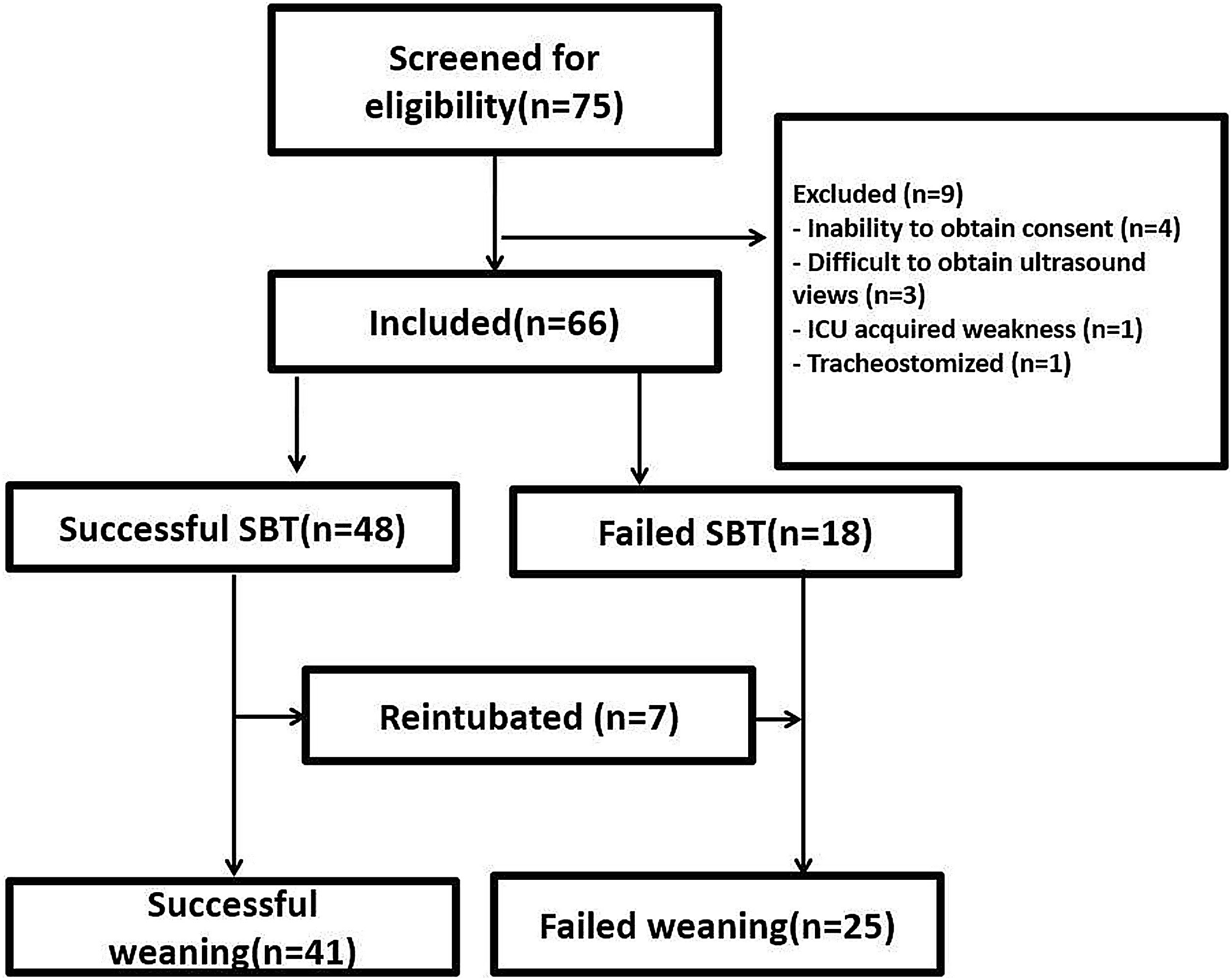fig0015