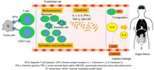 Physiology of cytokine release syndrome (CRS). BiTe: bispecific T-cell engager (activator); CAR: chimeric antigen receptor; VEGF: vascular endothelial growth factor; TF: tissue factor; IFN-γ: interferon gamma; IL-1: interleukin-1; IL-6: interleukin-6; GM-CSF: granulocyte-monocyte colony-stimulating factor; TNF-α: tumor necrosis factor alpha. Source: adapted from García Roche et al.26