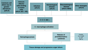Pathophysiology of HLH. Source: own elaboration.