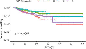 K–M survival curves.