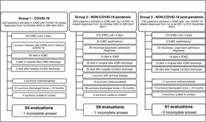 Study flowchart, stating populations and exclusion criteria. LOS – Length of Stay; ICMD – Intensive Care Medicine Department; ULSSJ – Unidade Local de Saúde São João.
