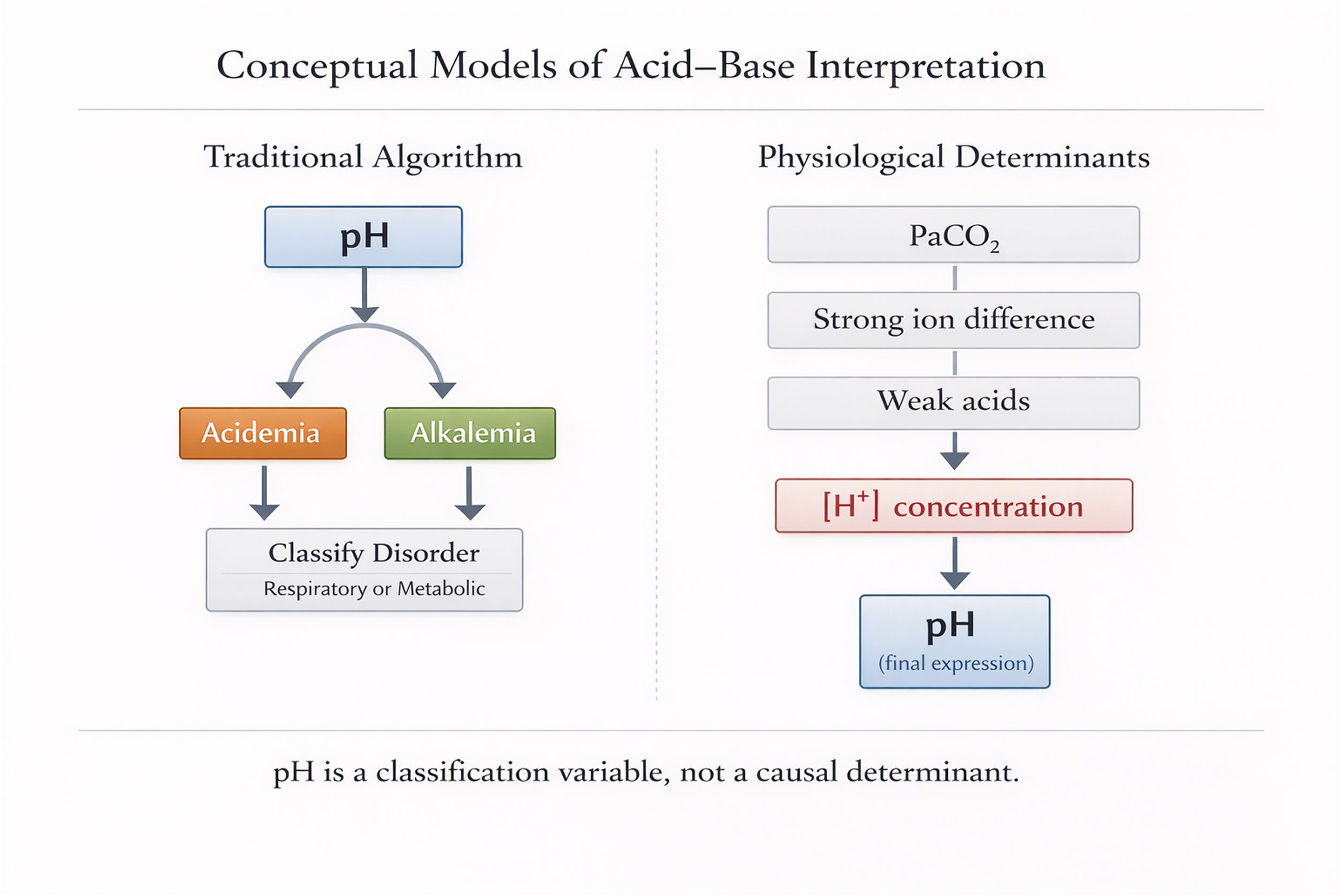 Beyond the algorithm: Rethinking the role of pH in acid–base ...