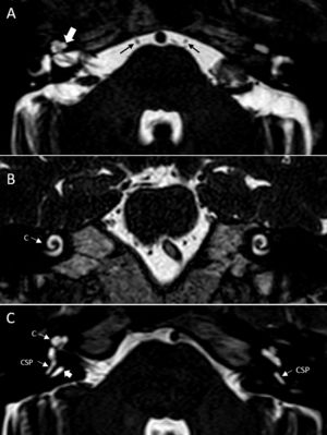 Checklist for the evaluation of magnetic resonance imaging in ...