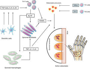 Pathogenesis of rheumatoid erosions. Abbreviations: see Term glossary in Annex 1.