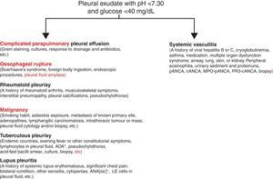 Study proposal of the patient with pleural fluid acidosis and low glucose concentration. Diagnostic priorities will always be the entities mentioned on the left. Vasculitic pleural effusion will always be a diagnosis of exclusion of the said diseases. ANA, antinuclear antibodies; ADA, adenosine deaminase.