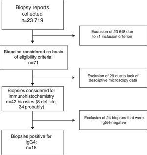 Flowchart. Selection of biopsies for the study.