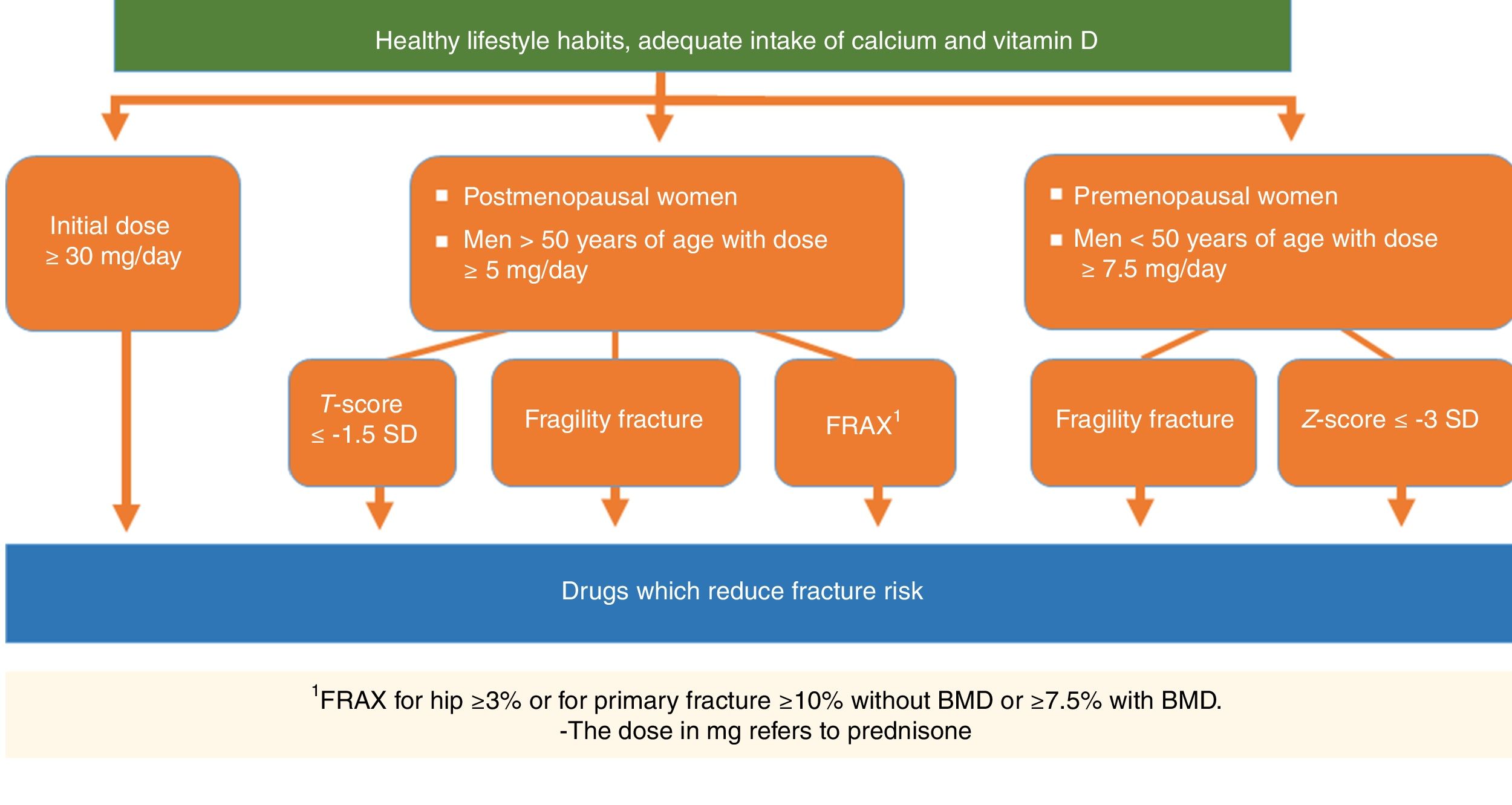 Recommendations by the Spanish Society of Rheumatology on Osteoporosis |  Reumatología Clínica