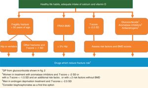 Recommendations for initiating treatment for the prevention of fractures in patients with osteoporosis or risk of osteoporosis.