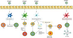Trained immunity. Epigenetic reprogramming in innate immunity cells on stimulating the trained immunity. Once pathogen 1 had been recognised by a receptor, the monocytes experienced an epigenetic reprogramming (mainly through mutilations in the DNA) and metabolic changes, so that they were prepared to respond more robustly to a secondary non specific stimulation (pathogens 1, 2 and 3).