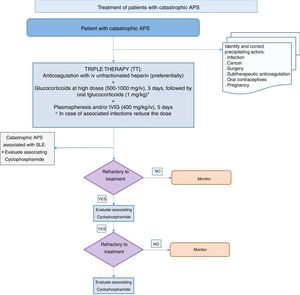 Treatment algorithms for patients with catastrophic antiphospholipid syndrome. IVIG: intravenous immunoglobulin; SLE: systemic lupus erythematosus; APS: antiphospholipid syndrome.