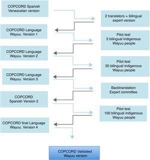 Cross cultural adaptation and validation process of COPCORD.