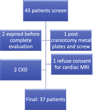 Patient flow diagram.