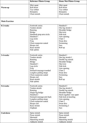 Details of reformer pilates and home mat pilates exercises program.